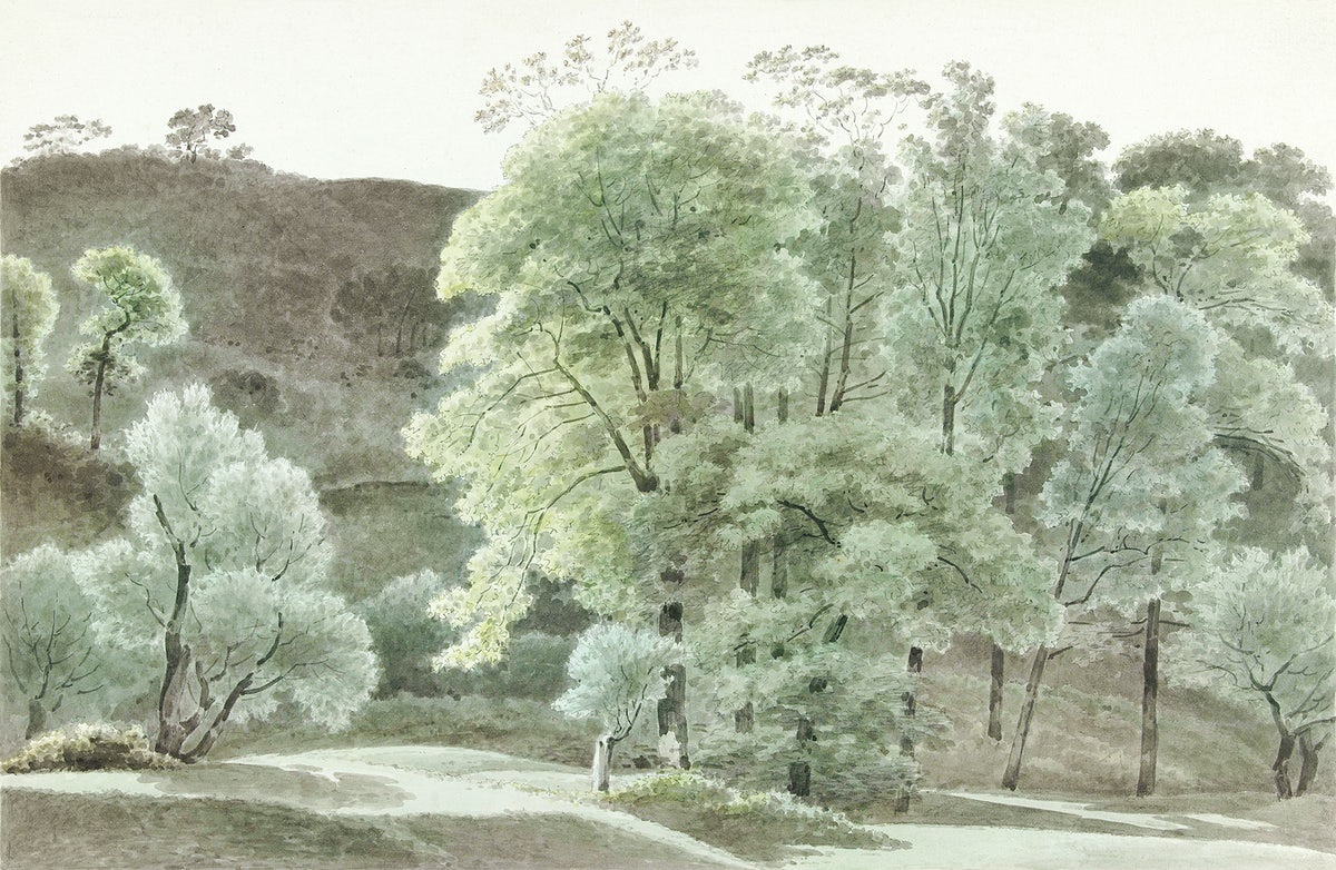 Bomen in de omgeving van Subiaco (trees in the Subiaco area) (1777–1847), Joseph August Knip