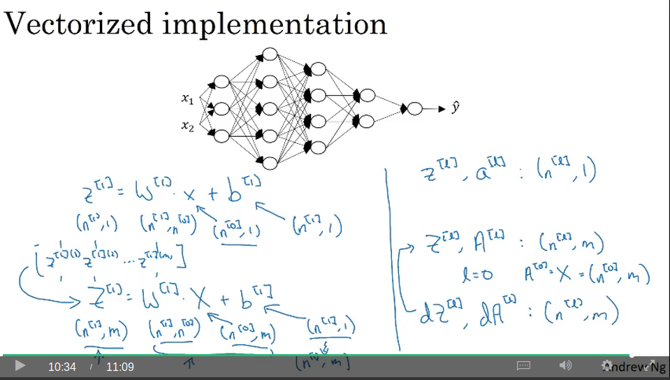 vectorised dimensions